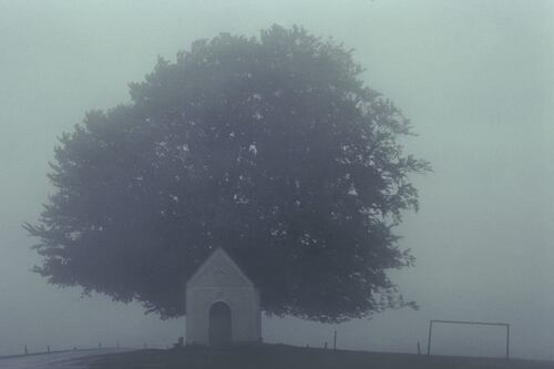 Conoce el peor año de la historia para estar vivo, según la ciencia