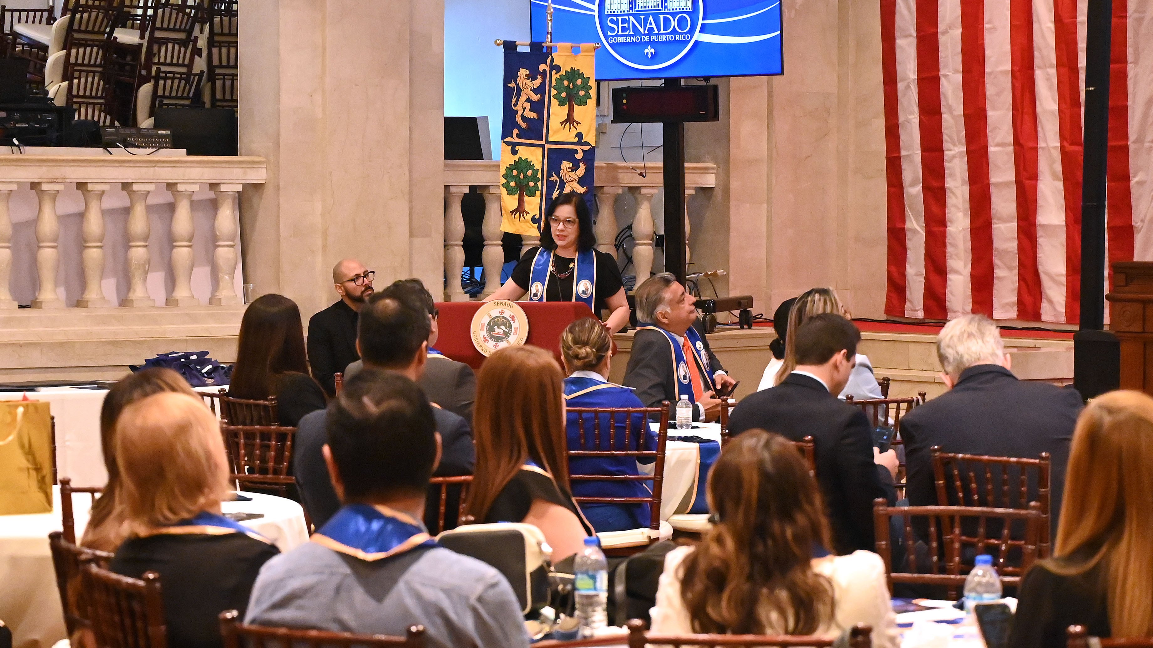 Congreso Internacional de Inteligencia Artificial, Senado