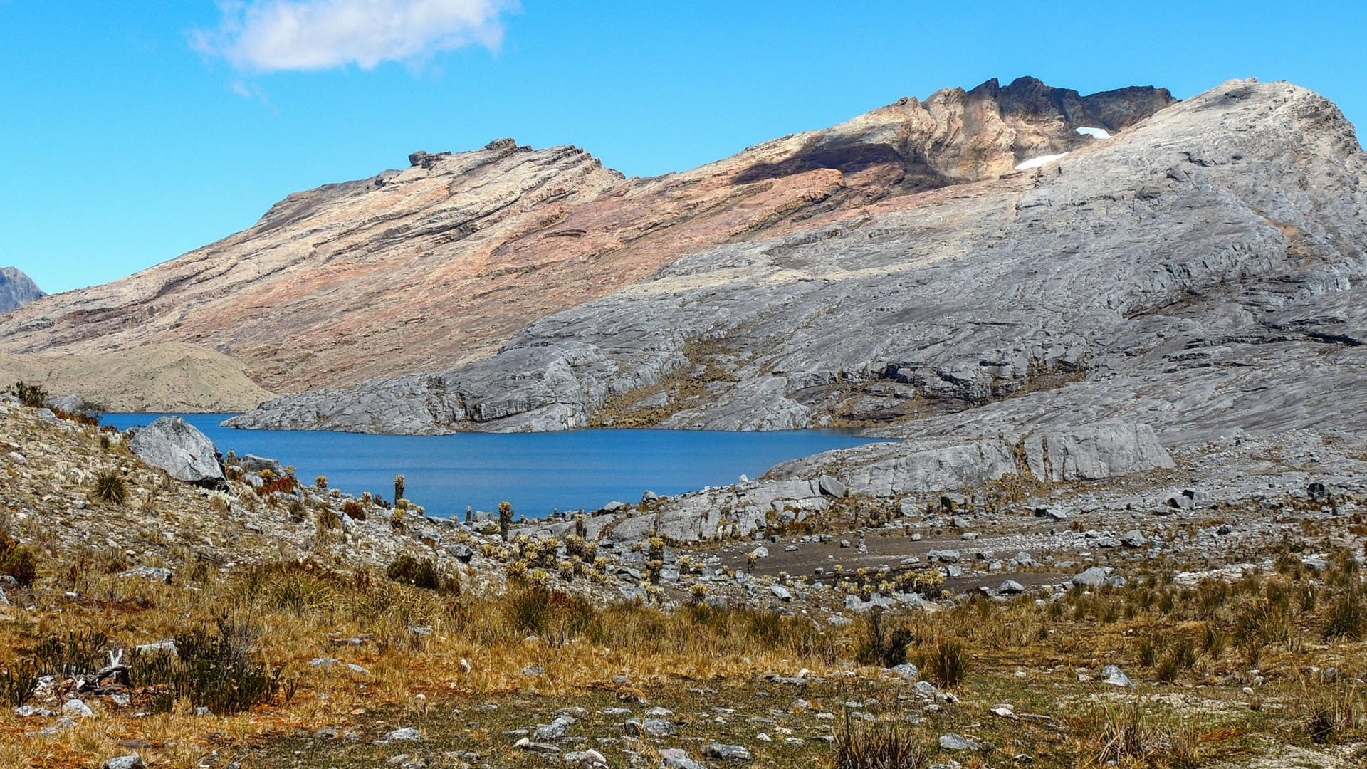 Glaciar Cerros de la Plaza,