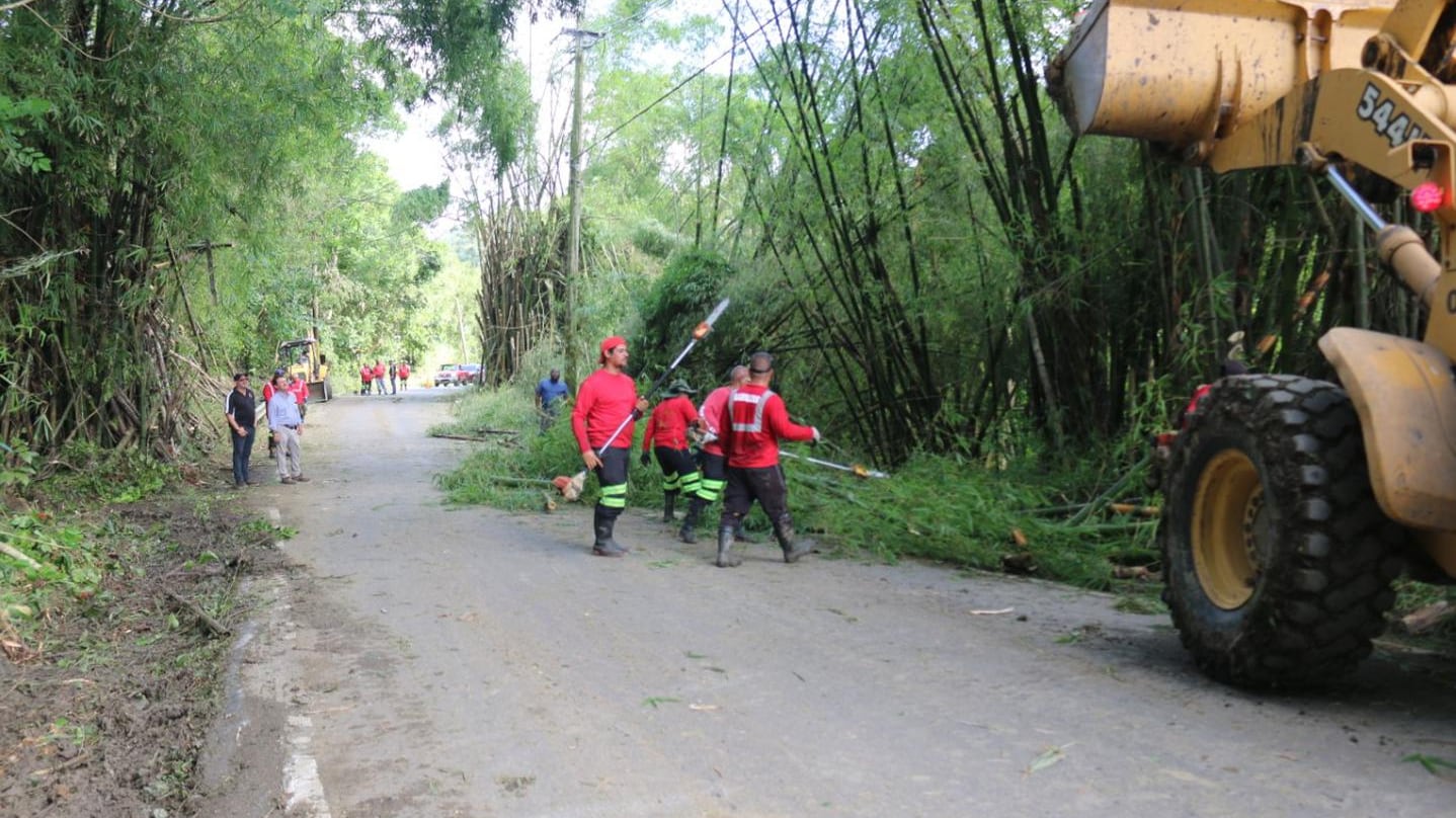Proceso de desganche en Carolina.
