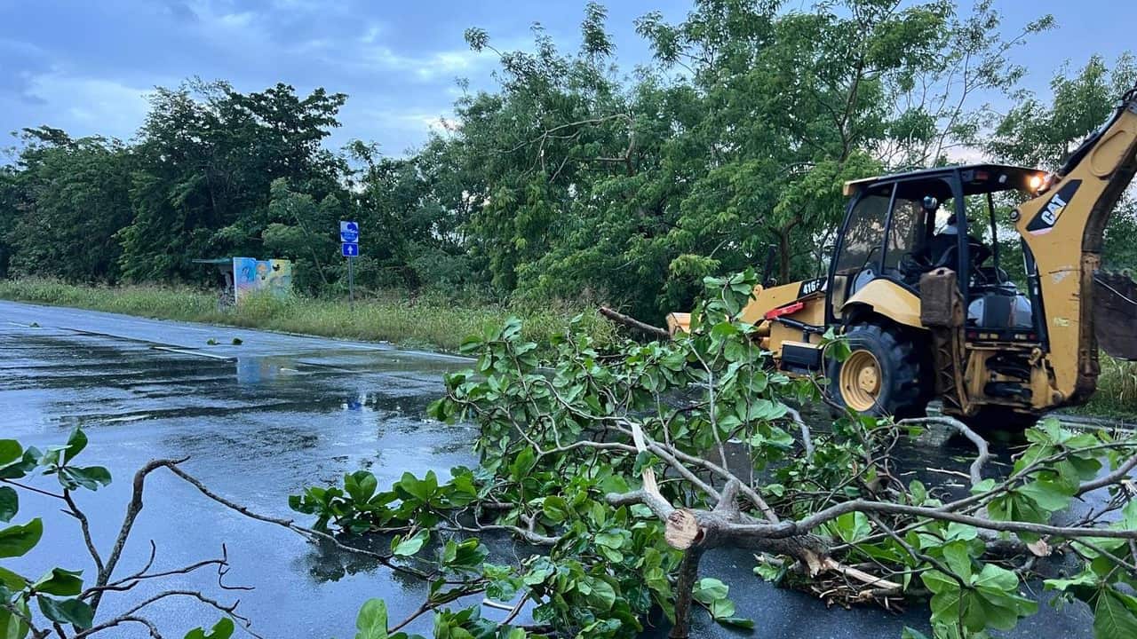 Municipio de Arecibo/Facebook