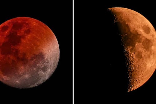 El eclipse lunar parcial se podrá ver en Europa, África, Asia y Australia