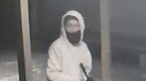 Se busca por robo en negocio de Ciales.