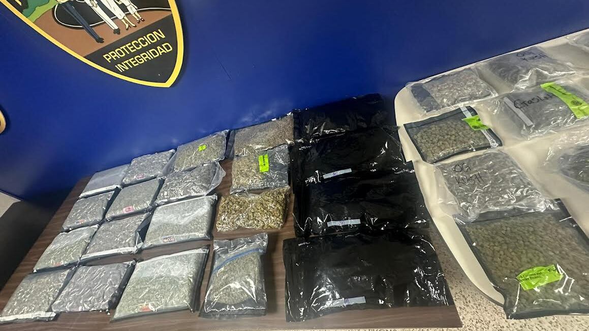 Policía ocupa 35 libras de marihuana en correo privado de Carolina.