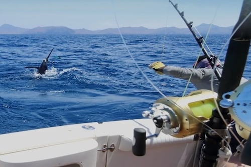 Capitanes de Pesca de Puerto Rico entre los mejores del mundo de los Angler’s Choice 2026