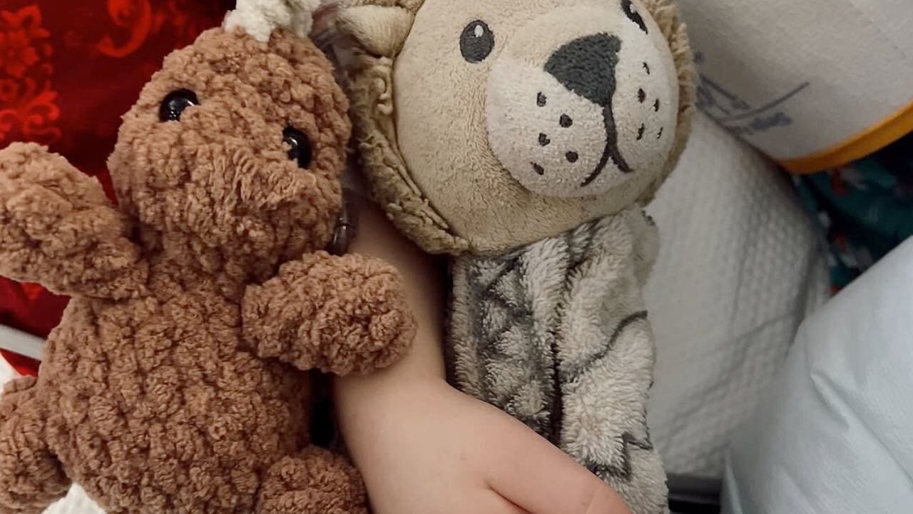 La influencer que perdió a su bebé tras caerle un espejo encima, donará sus órganos