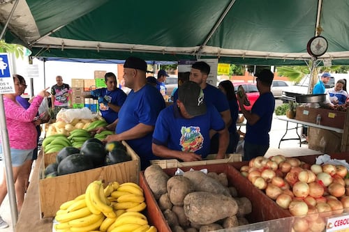 Piden a DACO y Agricultura hacer estudio sobre precio de alimentos en la canasta básica