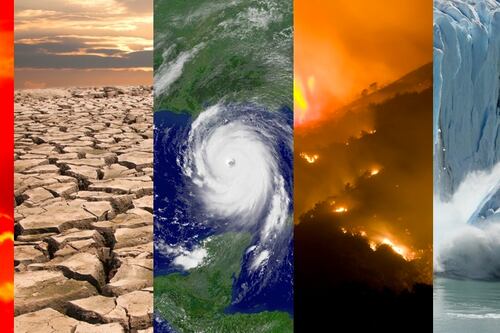 Los impresionantes efectos tras el nuevo récord de temperatura del Mundo en los últimos 138 años