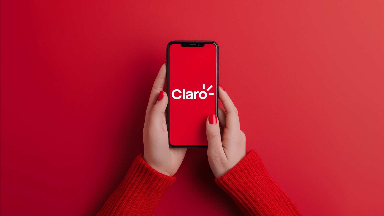 La oferta será válida hasta el 31 de enero de 2025