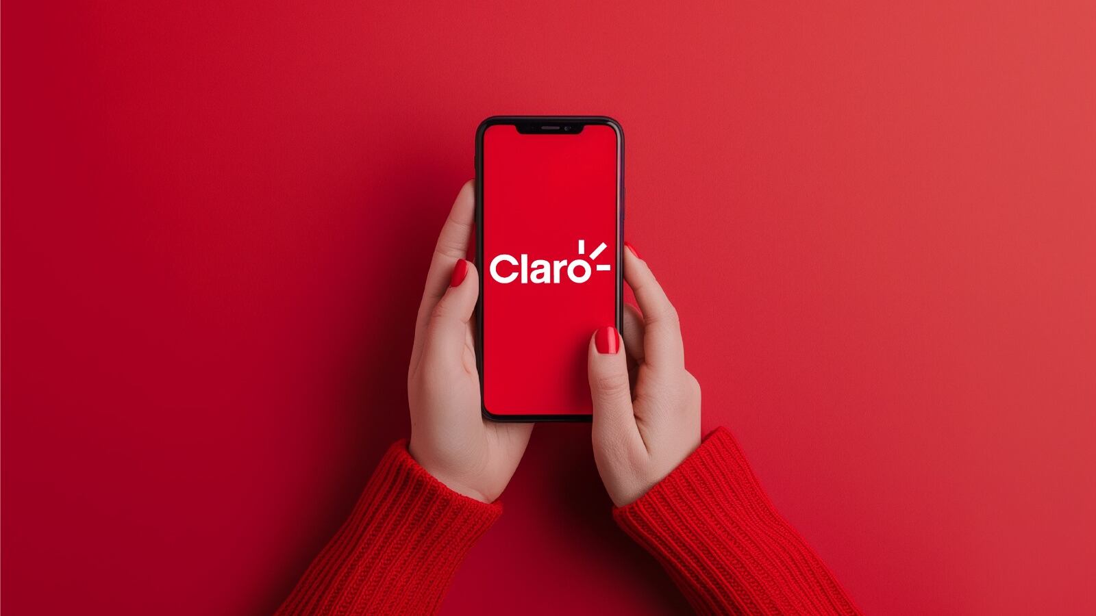 La oferta será válida hasta el 31 de enero de 2025