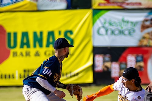 Pelota AA: Dorado se queda con el liderato de la Metro y Peñuelas avanza a la postemporada
