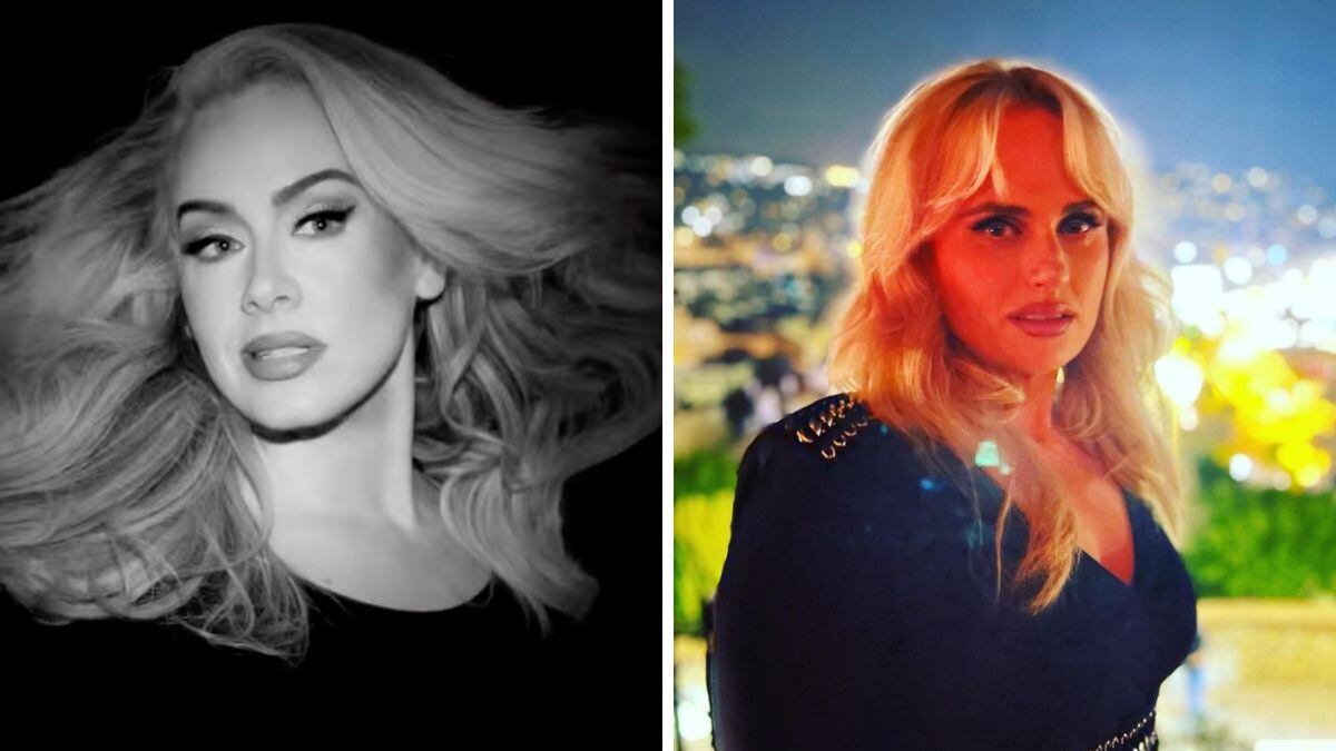 Adele y Rebel Wilson nunca tuvieron una amistad.