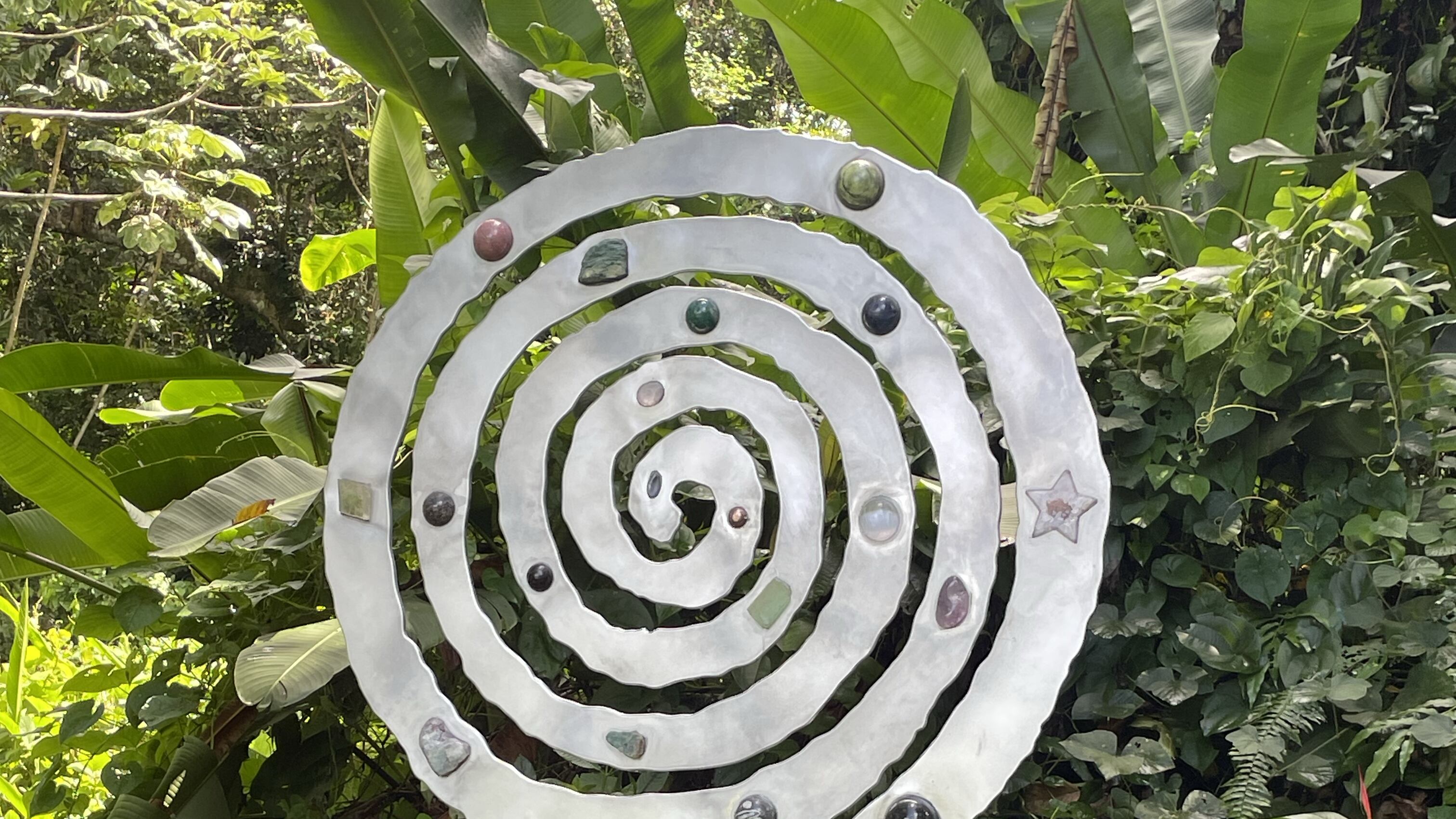 La exhibición “Ensayos de la naturaleza”