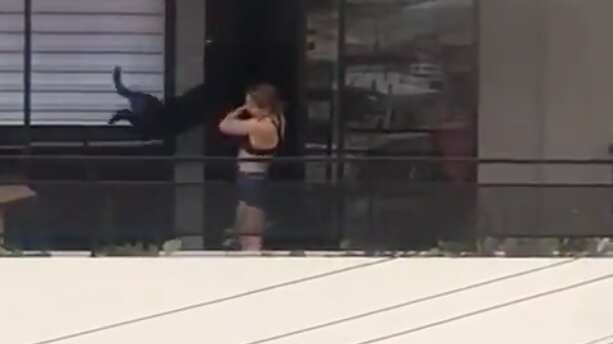 "Maltrato animal en Quito".