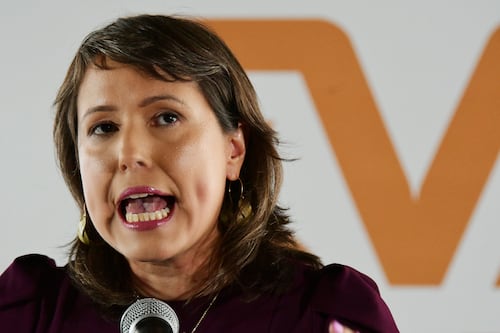 Victoria Ciudadana rechaza ley que reconoce al no nacido como persona natural