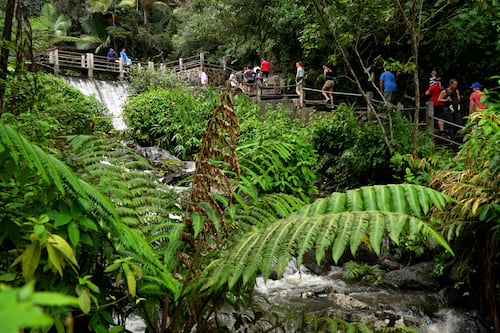 Propuesta propone cobrar tarifas de acceso al Bosque Nacional El Yunque