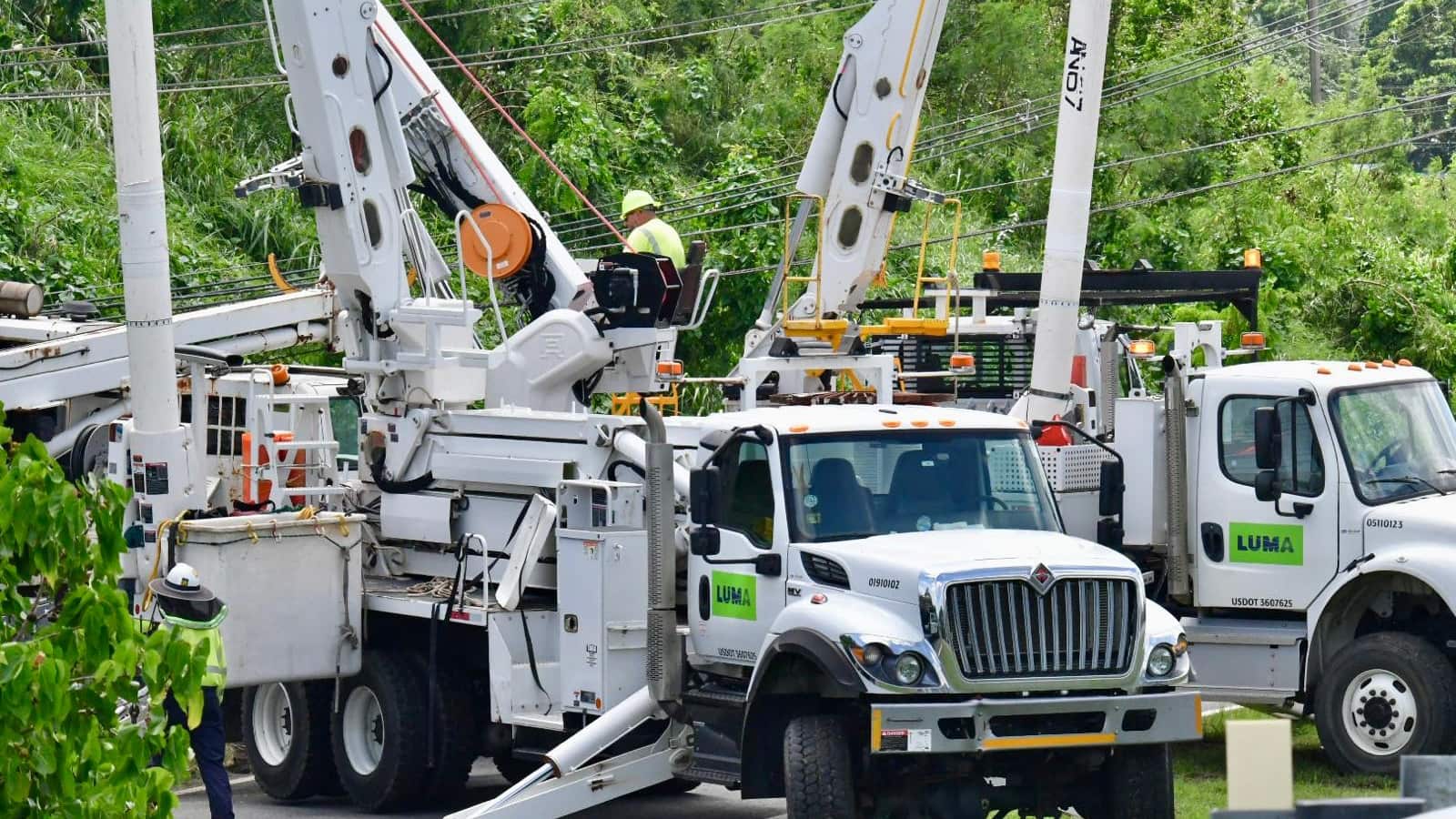 Trabajadores de la empresa LUMA Energy, realizan labores en Fajardo tras paso de la tormenta Ernesto