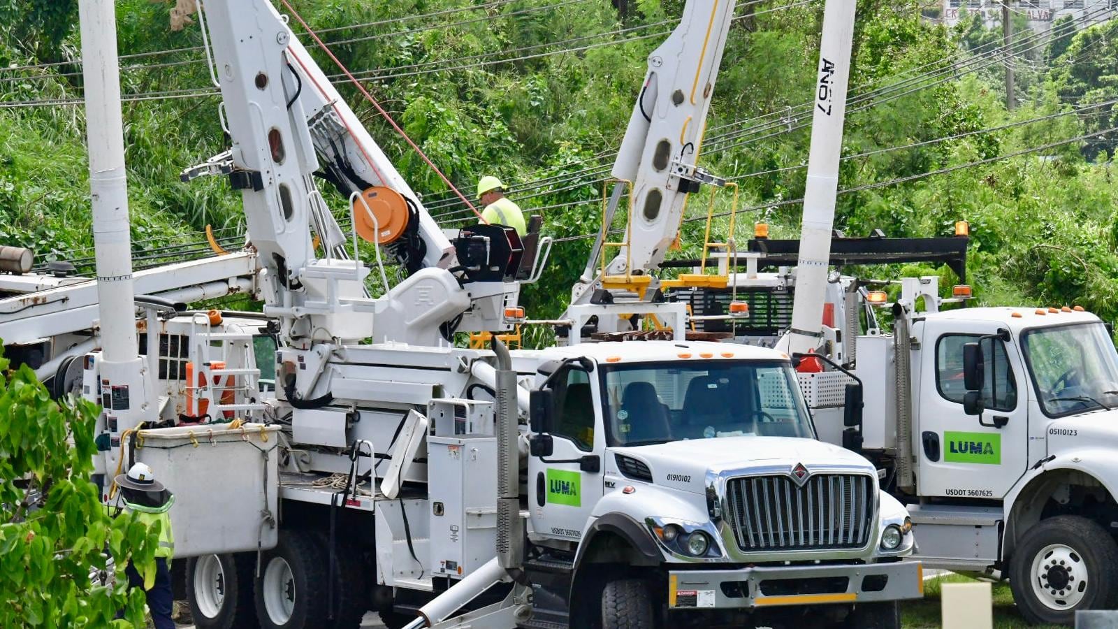 Trabajadores de la empresa LUMA Energy, realizan labores en Fajardo tras paso de la tormenta Ernesto