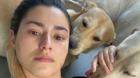 La periodista denunció el terrible suceso en sus redes sociales.