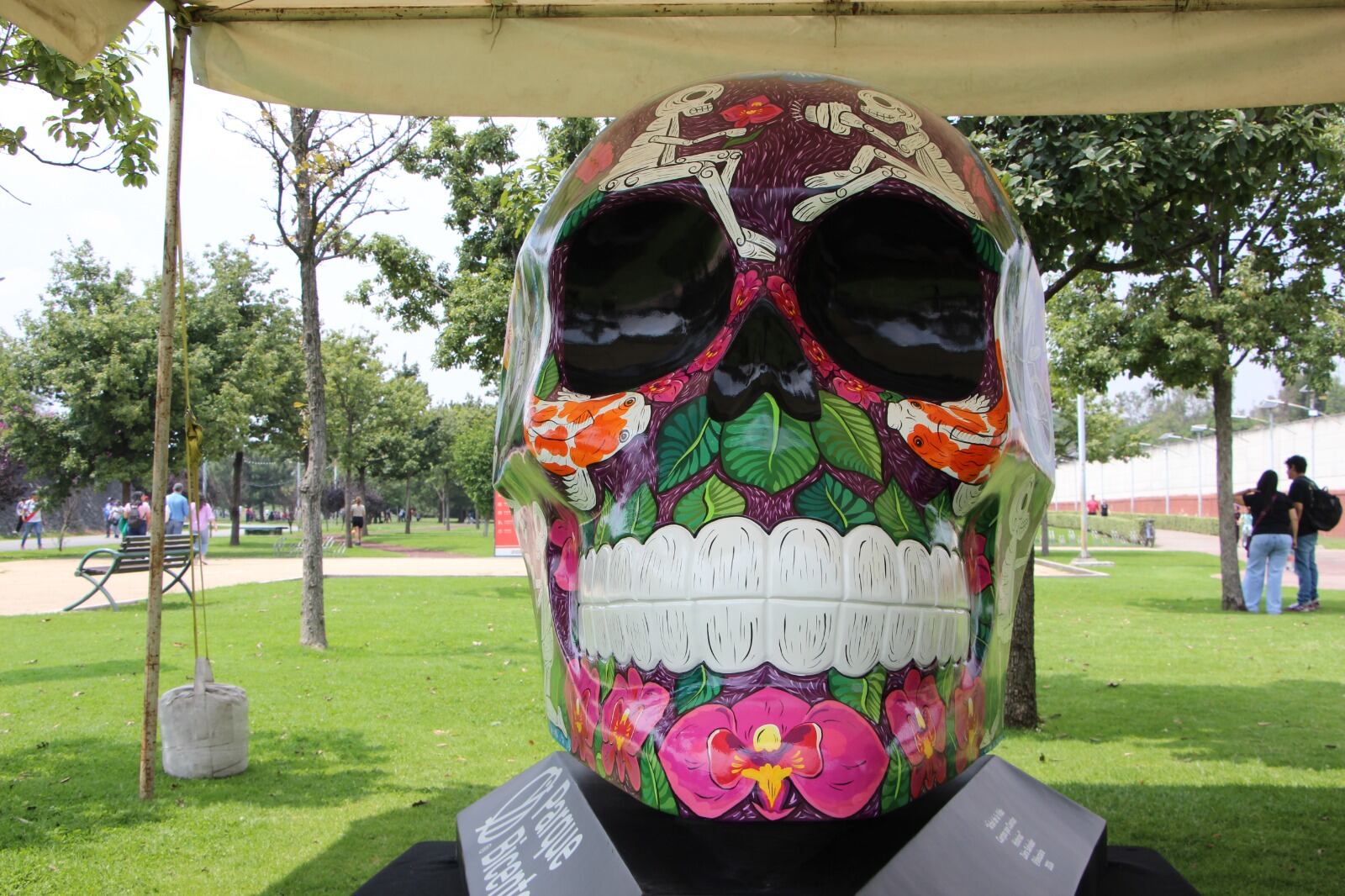 Las primeras tres obras de Mexicráneos 2024 fueron exhibidas en el Parque Bicentenario en una develación que contó con la presencia de los artistas Chui Huiini, Tania Caro Silva y Zaira Salvador para explicar un poco acerca de sus piezas. El evento también contó con la presencia de la Curadora de Mexicráneos Odette Paz y Juan Manuel Pineda Merino, director del Parque Bicentenario. A partir del 21 de septiembre, el recinto presentará tres cráneos nuevos cada sábado hasta completar las 12 piezas de la exposición.