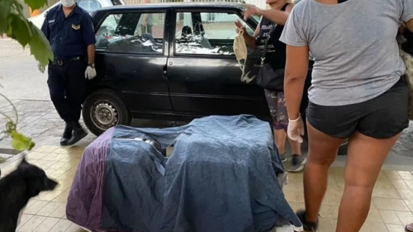 Gato en refrigerador