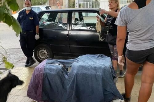 Macabro: mujer guardaba en el refrigerador perros y gatos para absorber sus energías