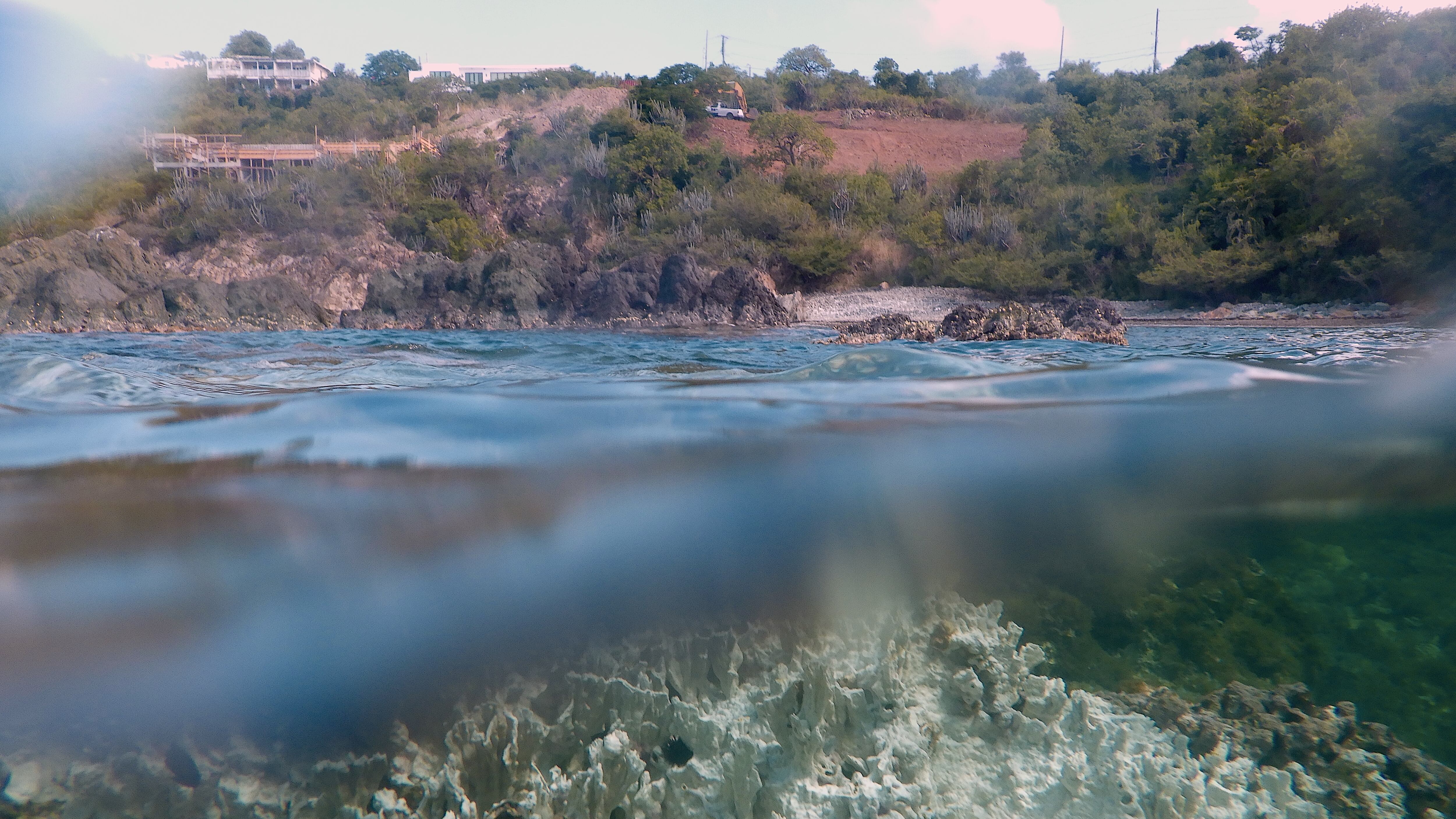 El coral se blanqueó intensamente el pasado septiembre cerca de Secret Harbor frente a la costa de St. Thomas en las Islas Vírgenes Estadounidenses.
Fotos por Freeman Rogers | The BVI Beacon