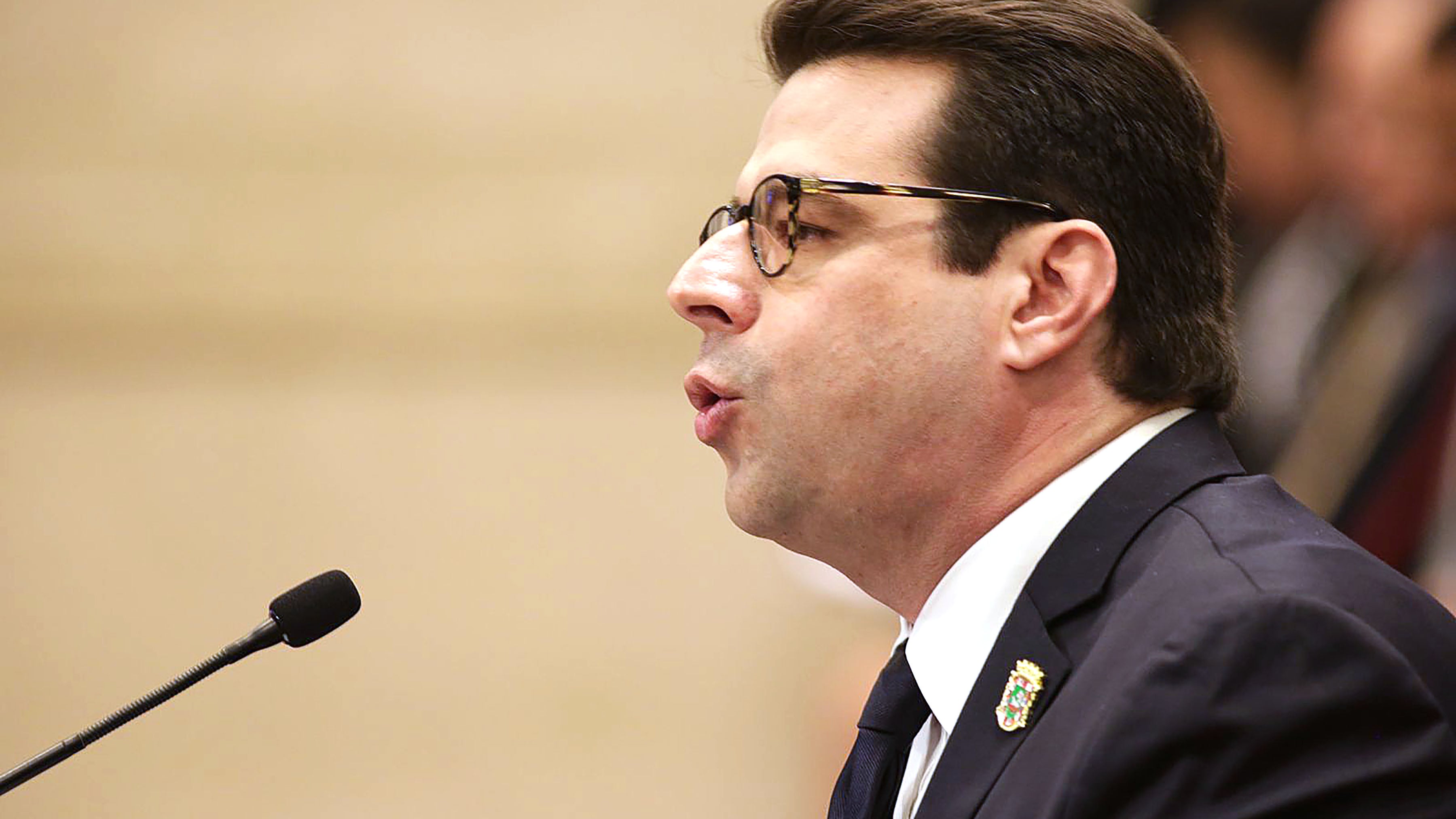 Francisco Domenech, Comision Total del Senado.