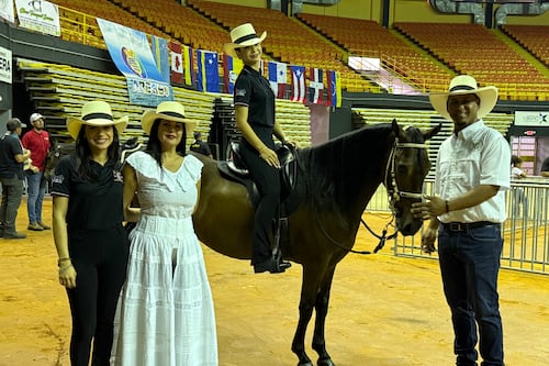 Arecibo recibe desde este jueves el 36to Campeonato Internacional de Paso Fino