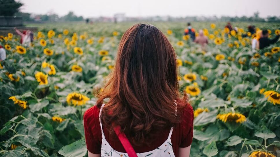 Si te sientes agotado, aléjate