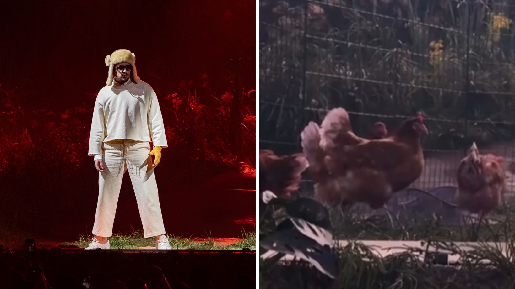 PETA exigió al artista que deje de utilizar gallinas en su concierto.