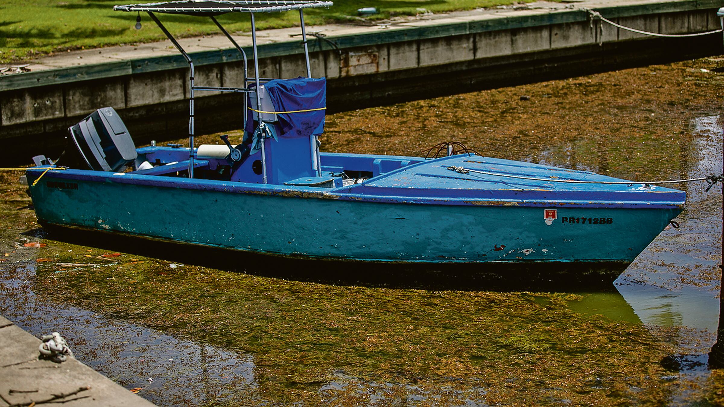 Una embarcación de pesca pequeña flota en un mar de sargazo.