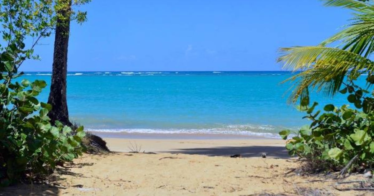 Identifican al hombre que murió ahogado en playa Vacía Talega en ...