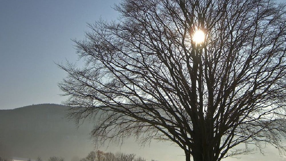 Solsticio de invierno: el incicio del invierno