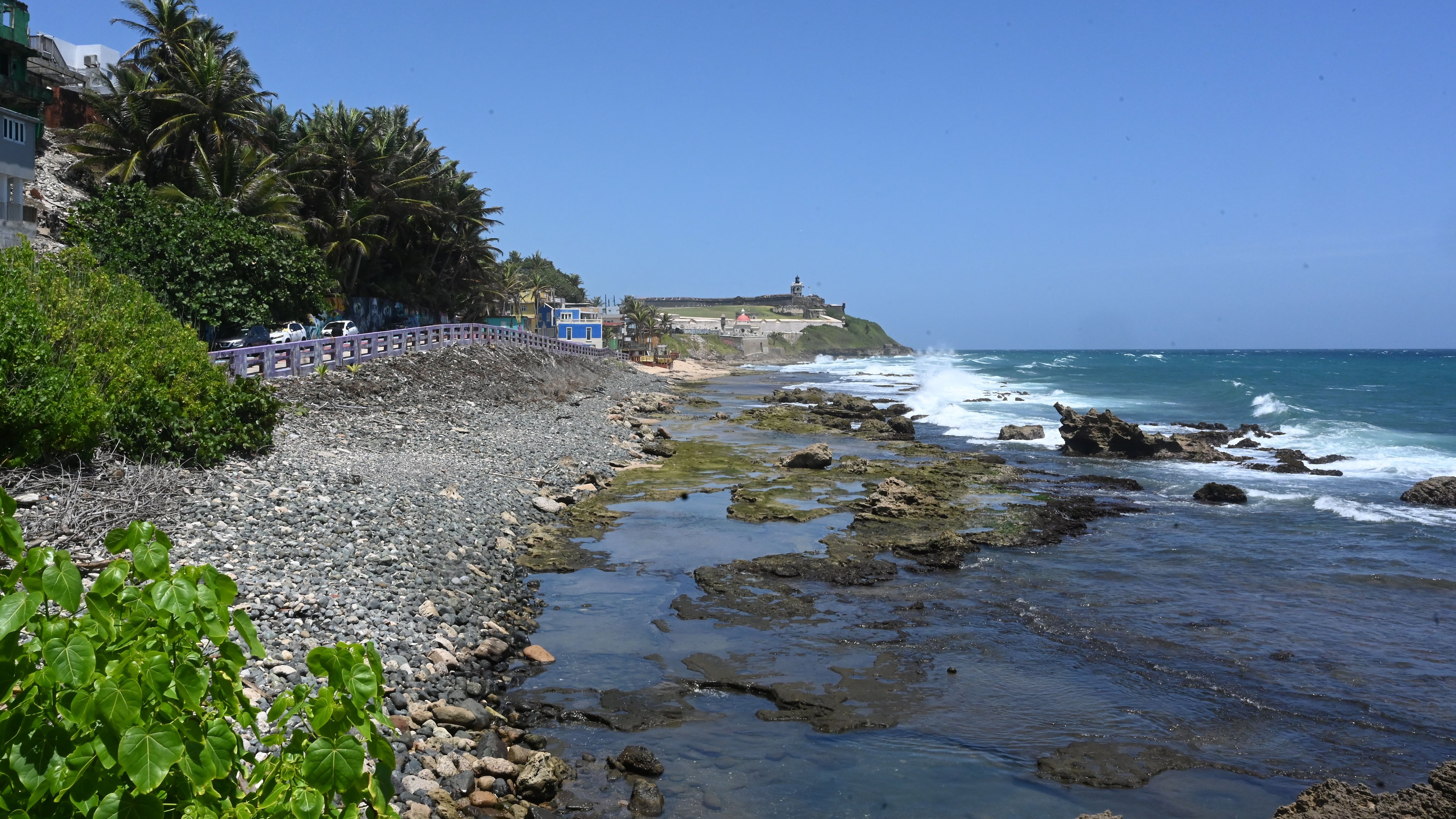 Paints, Rima, Good Bunny pintan a la Perla