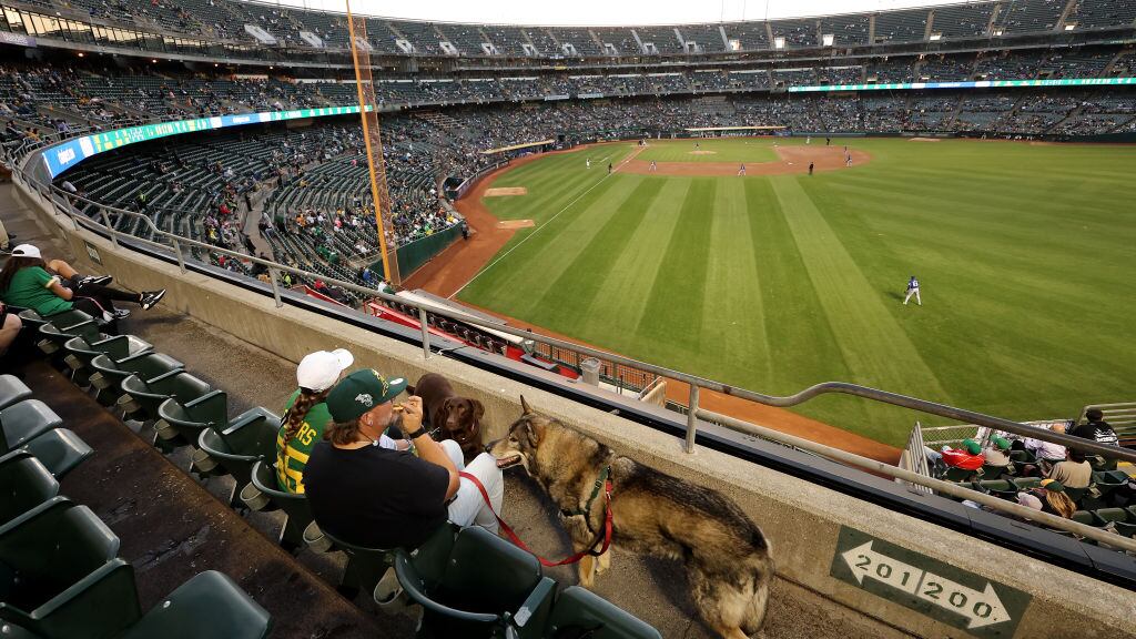 Coliseo de Oakland