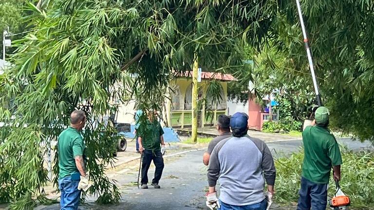 UPR Utuado / Suministrada