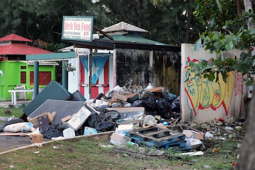 Disputa por el recogido de basura amenaza los mangles en Piñones