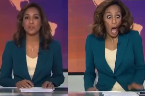 Rata interrumpe transmisión de noticiero en vivo y la reacción de la presentadora se viraliza