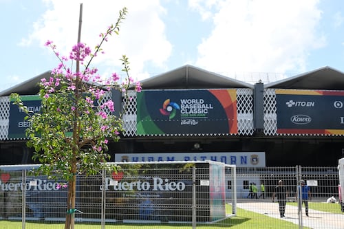 Así será el plan de transportación para el Clásico Mundial en el Hiram Bithorn