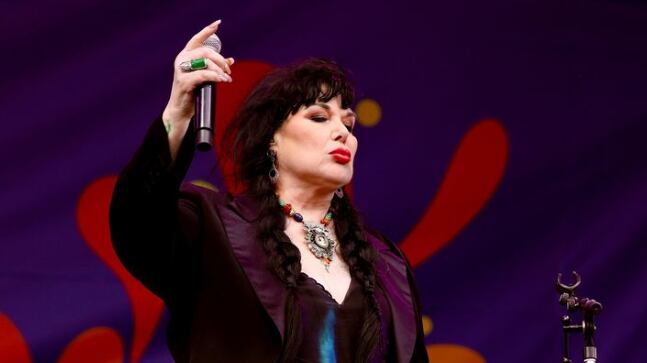 ann wilson heart