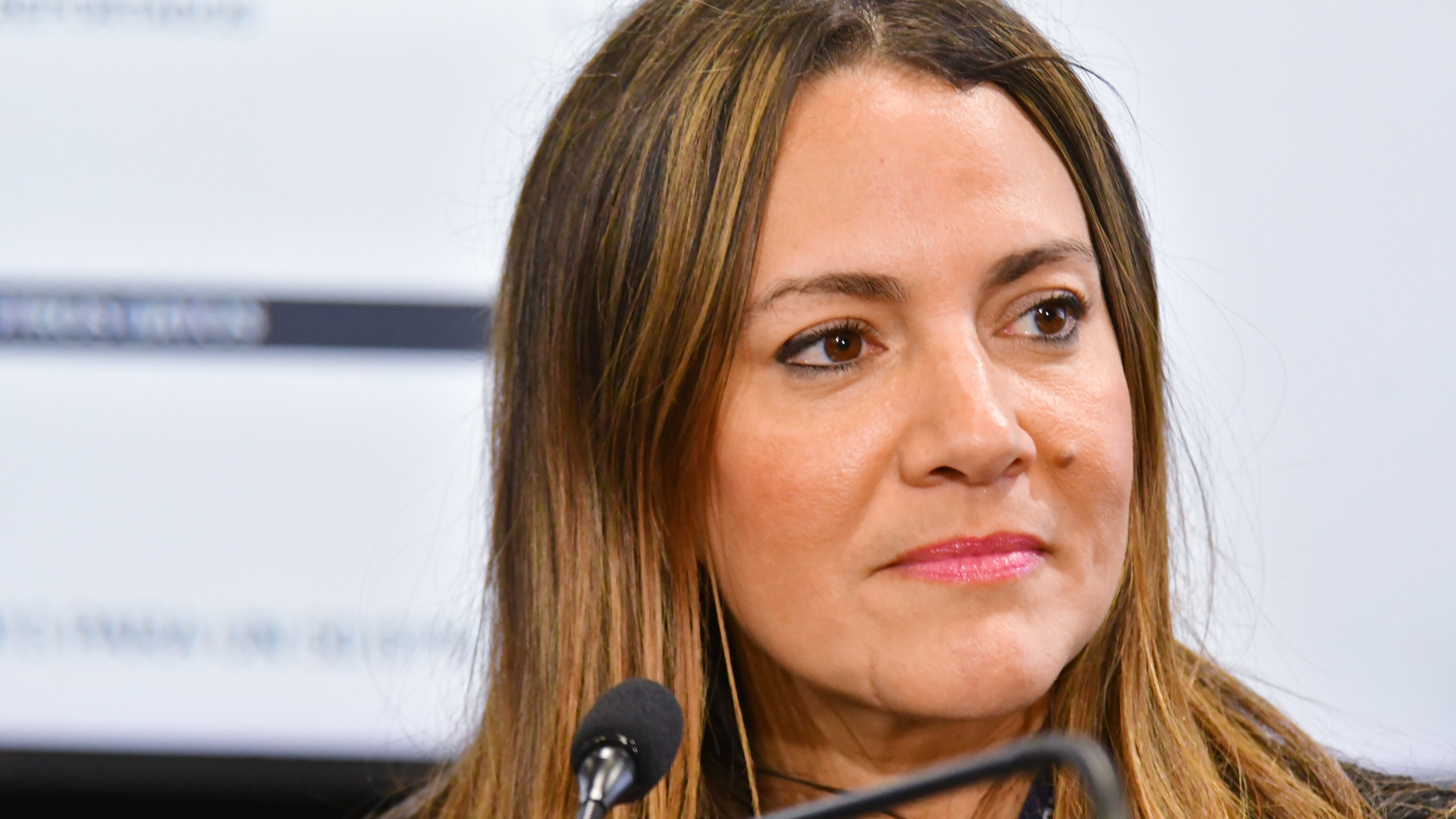 La comisionada electoral del Partido Nuevo Progresista (PNP),