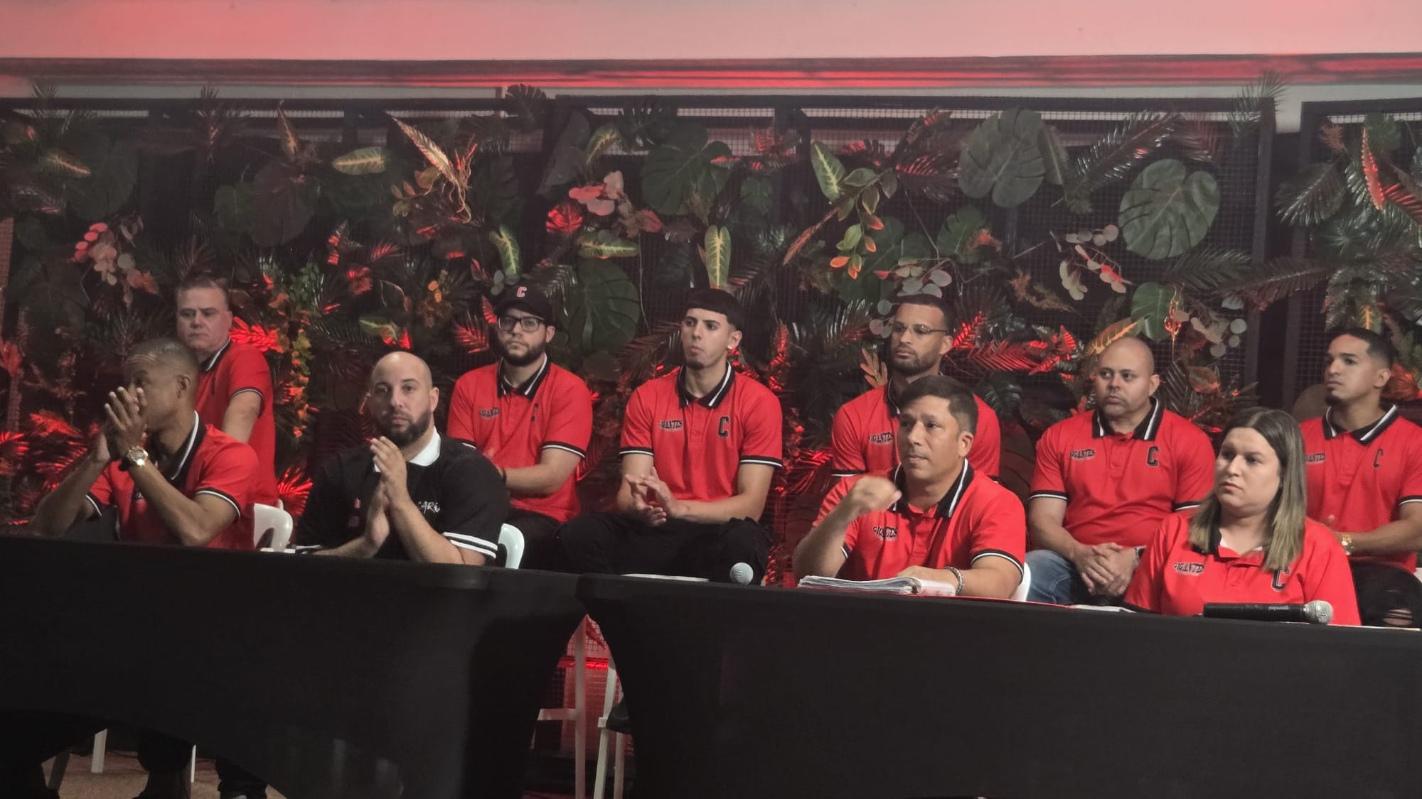 Gigantes de Carolina