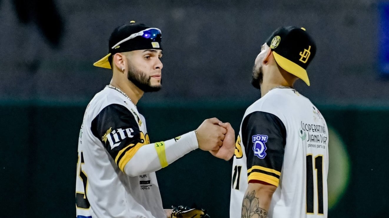 Los Poetas llevan 17 cuadrangulares.