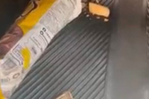 Mujer compró bolsa de papas fritas y dentro se encontró con un ratón muerto