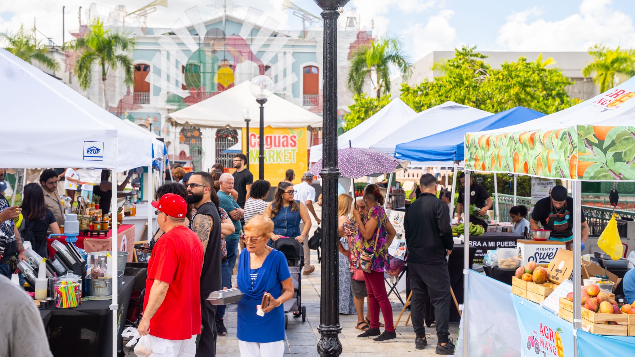Caguas Market