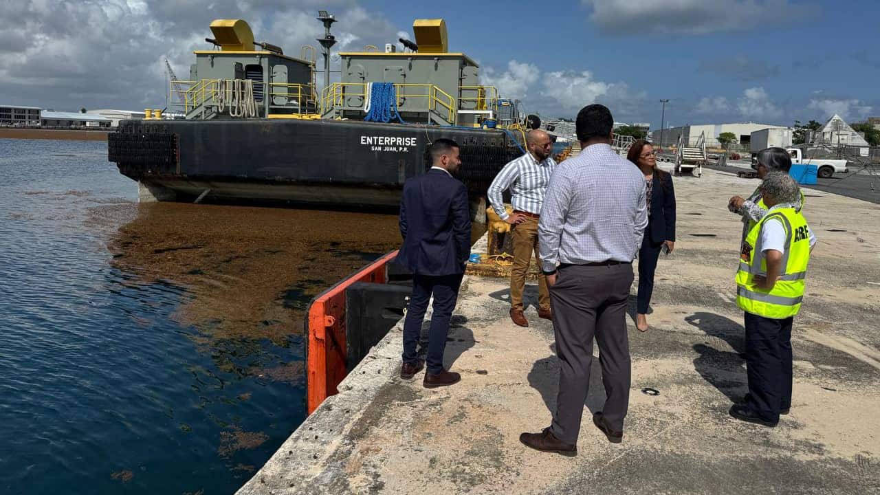 La cantidad de sargazo en la zona ha sido significativa.