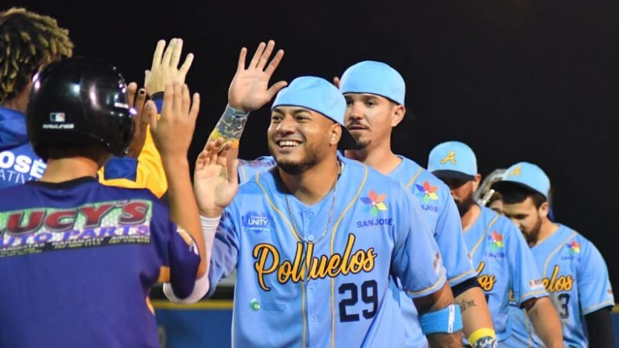 Polluelos de Aibonito.