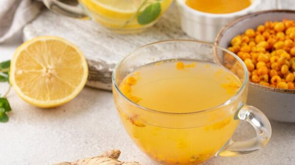 Alimentos que aumentan la inmunidad para un estilo de vida saludable y equilibrado