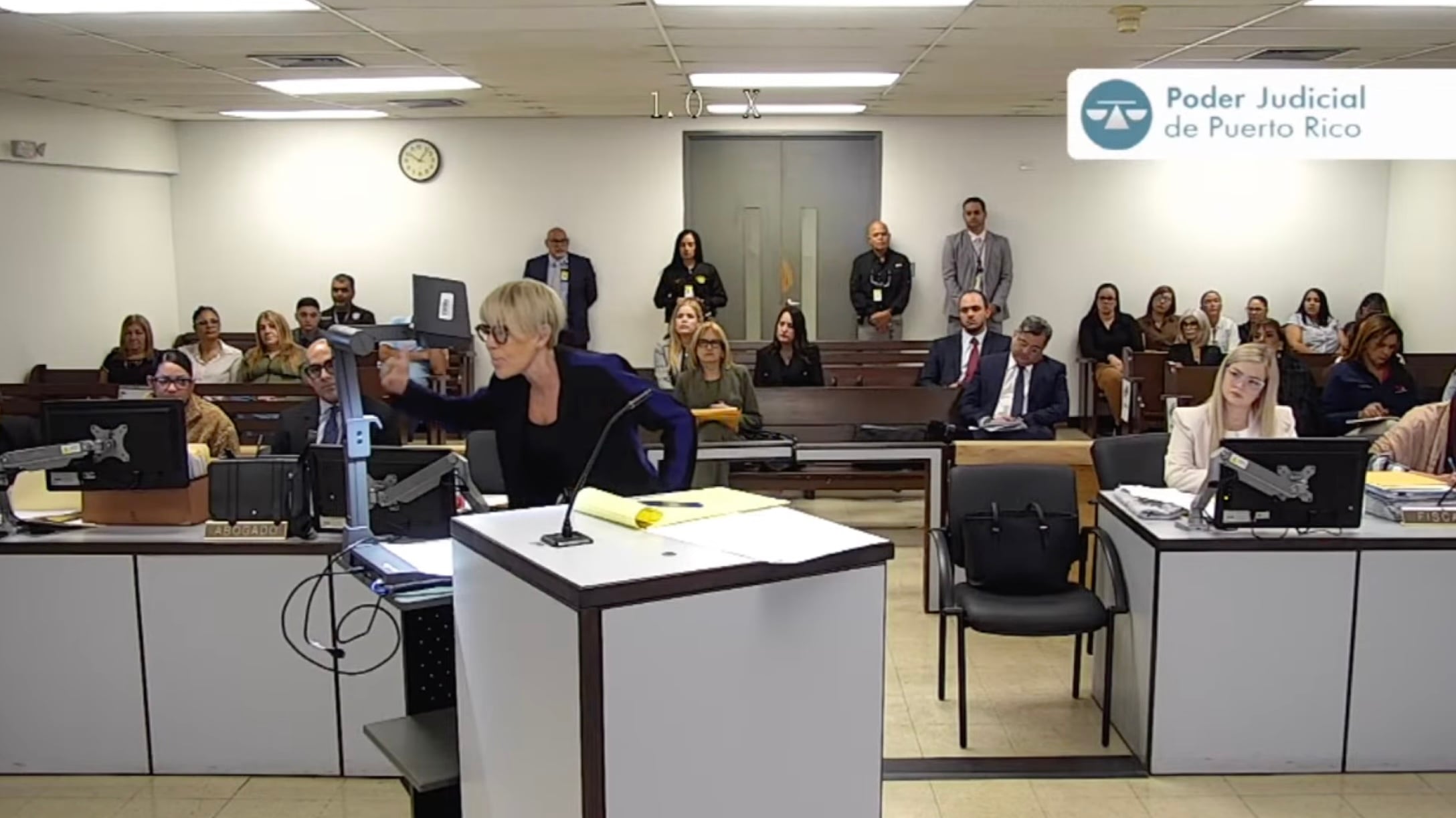 Juicio Elvia Cabrera